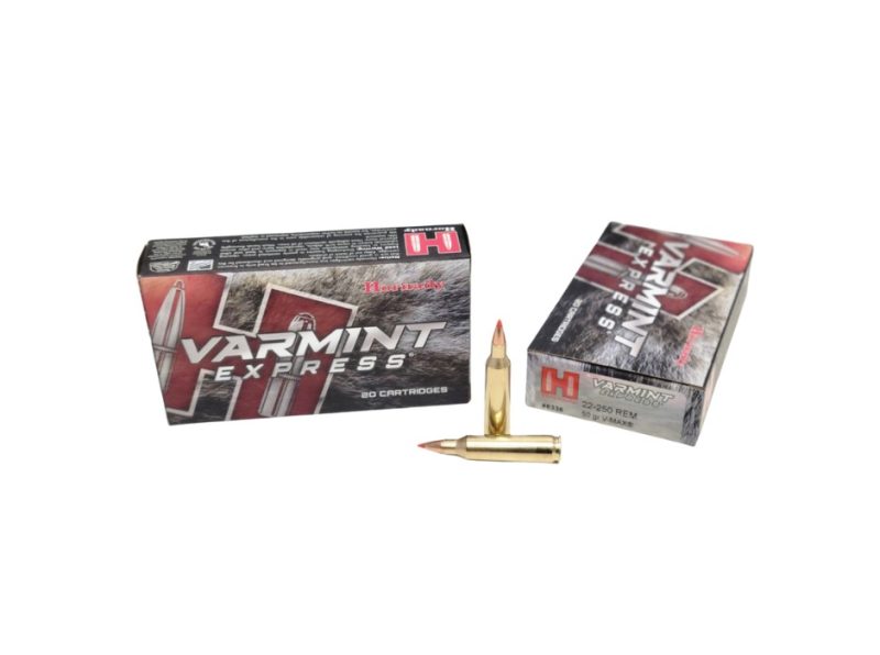 Hornady Varmint Express .22 250 Rem V MAX